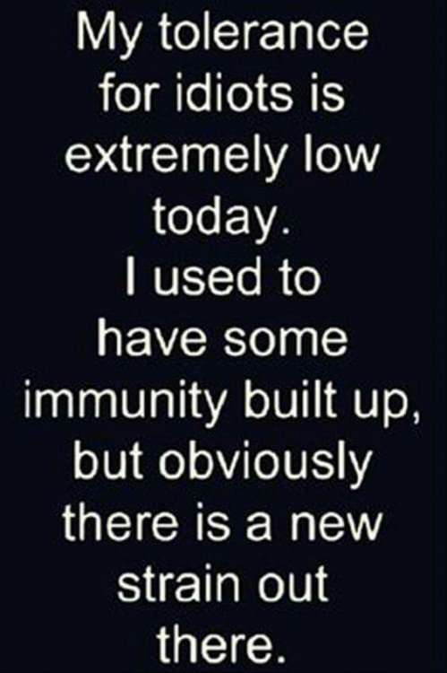 3015aff7c23385d3b8b7683adda31ed9--funny-pics-funny-shit.jpg