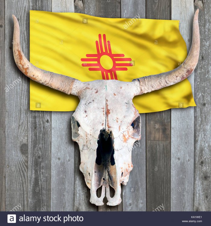 NM flag and skull.jpg