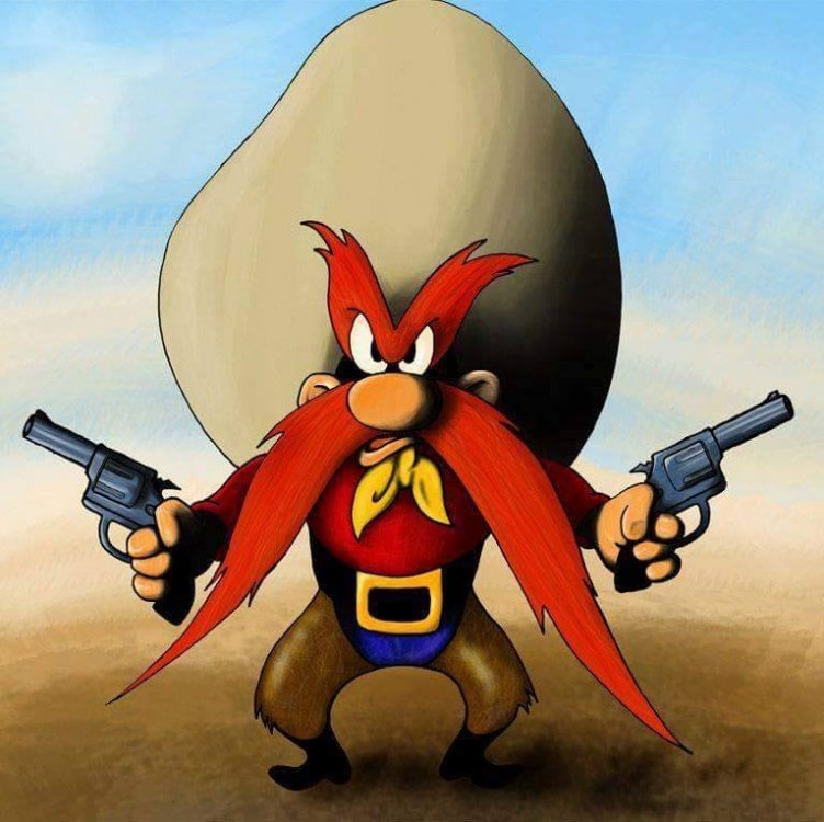 Yosemite Sam.jpg