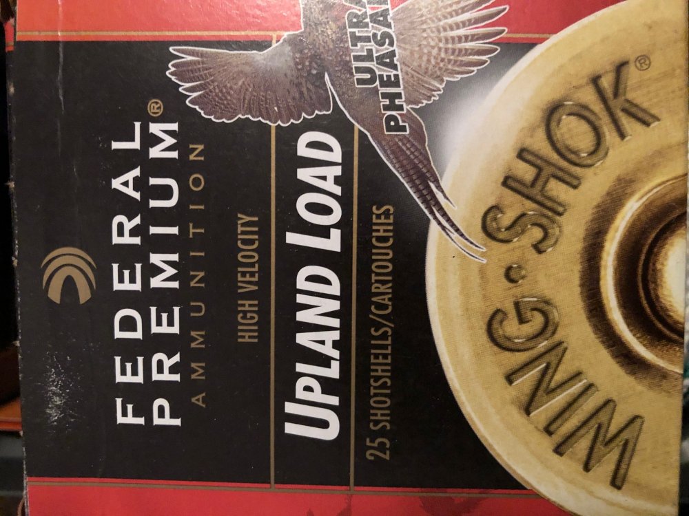 865955473_UplandLoad.thumb.jpg.0b22e34b1ea8aef2e6c9b99a79501790.jpg