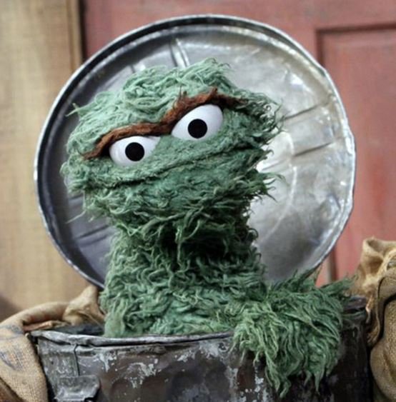 1194215569_oscarthegrouch.jpg.09c5306ff14817a6cdd4466030d09d7e.jpg