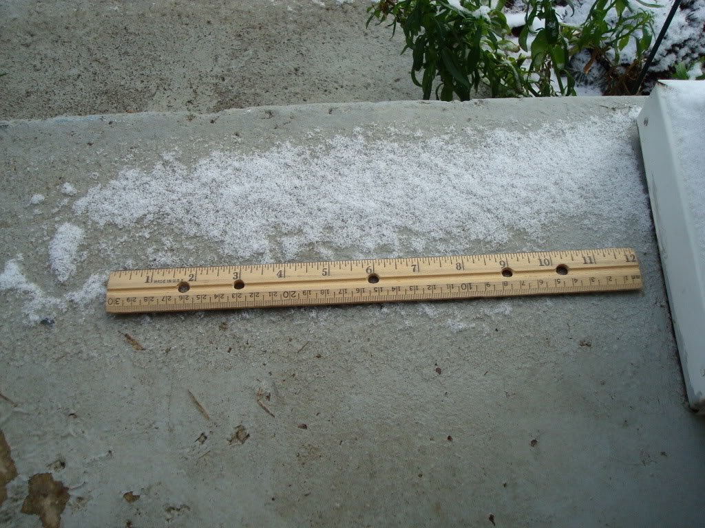 How Do You Measure Snow Depth