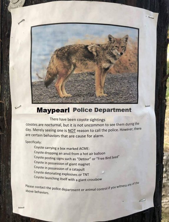 coyote warning.jpg