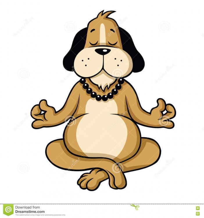 dog-meditation-cartoon-character-meditating-vector-73128359.thumb.jpg.f7d38167d20c321670f140cb3534386e.jpg