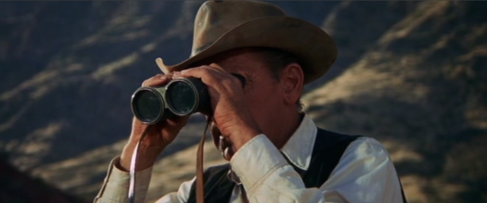 414895746_Cowboylookingthroughbinoculars.thumb.png.9c89d0574a36f2078230b63c50008cc1.png