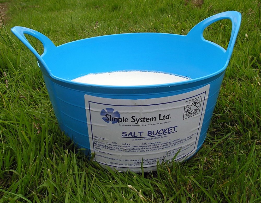 Buckets of water at cops SASS Wire Saloon SASS Wire Forum