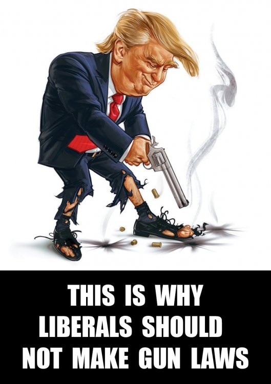meme.gun.control.101.trump.shoot.foot.liberals.make.gun.laws.sfw.jpg