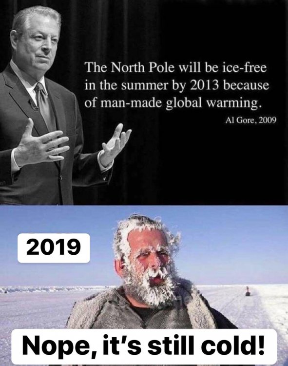 climate change denier.jpg