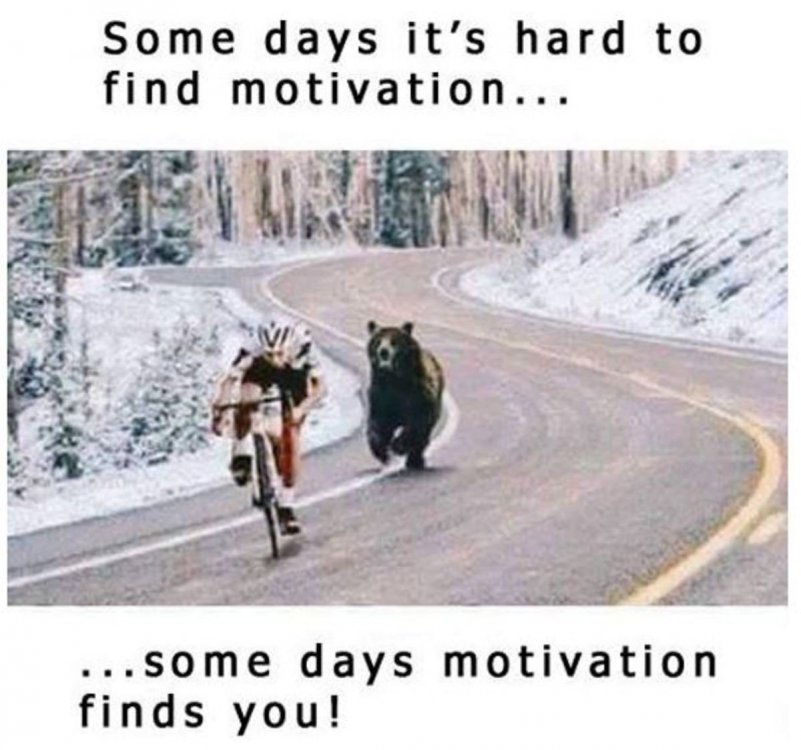 Bike-Motivation.jpg