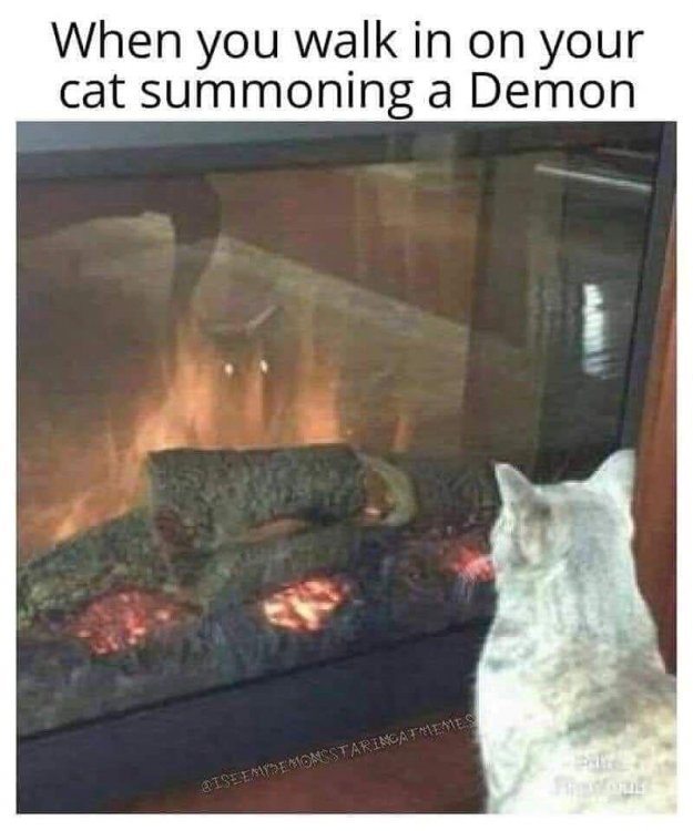 catsummonsdemon.jpg