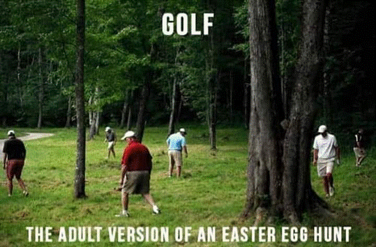 Adult Easter Egg Hunt.gif
