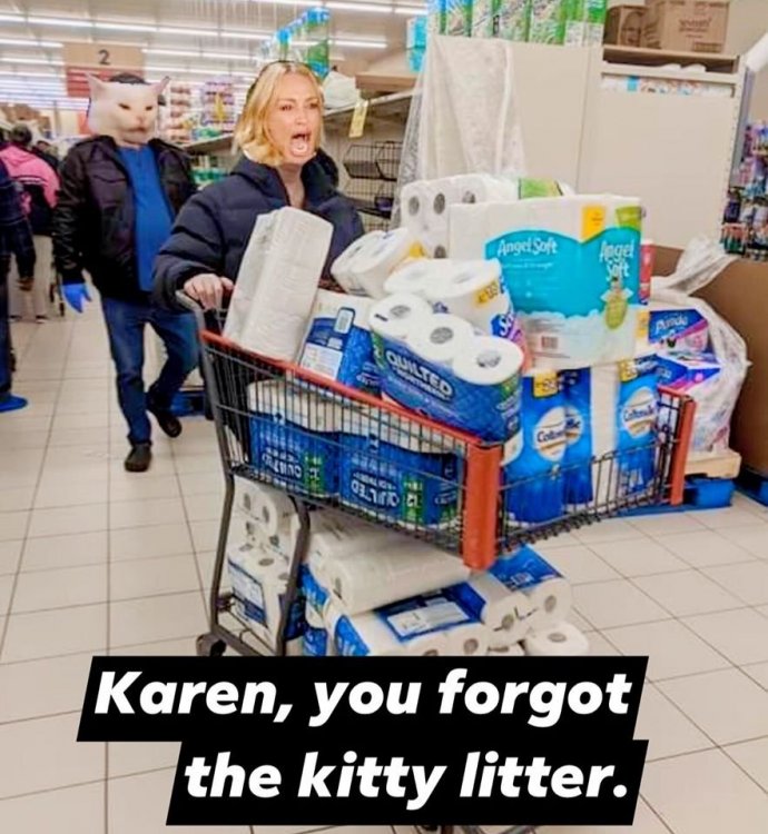 karenforgotthekittylitter.jpg