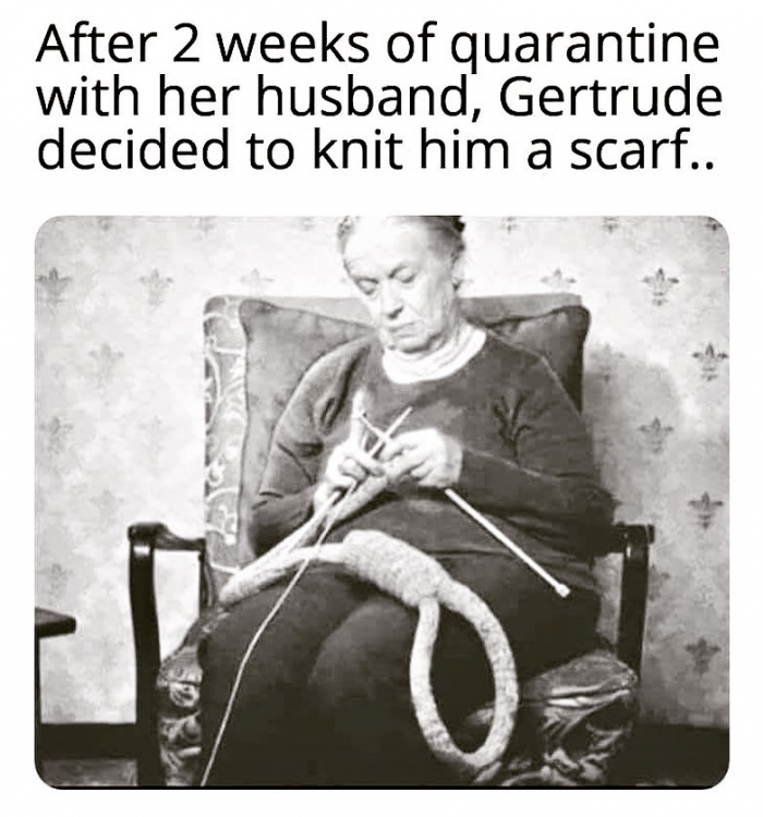 knittedascarf.png