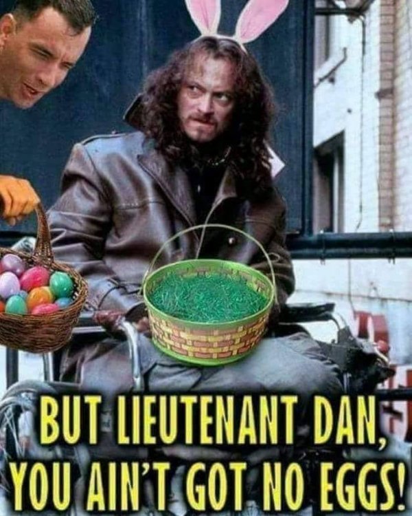 ltdannoeggs.jpg