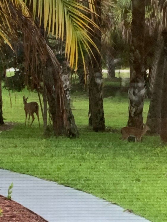 Dinner_Guests.thumb.jpg.f0a718125c787ad1cbb1645cff77e64d.jpg