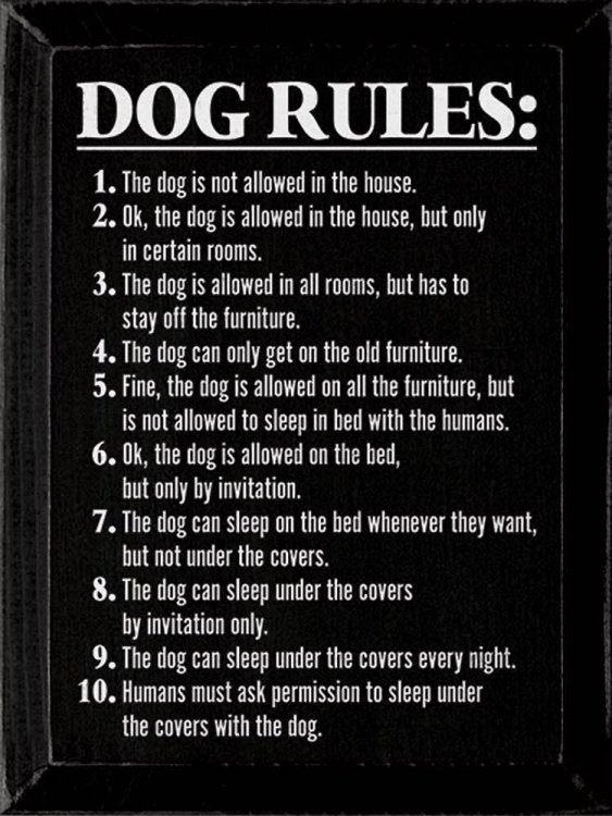 Dog Rules.jpg