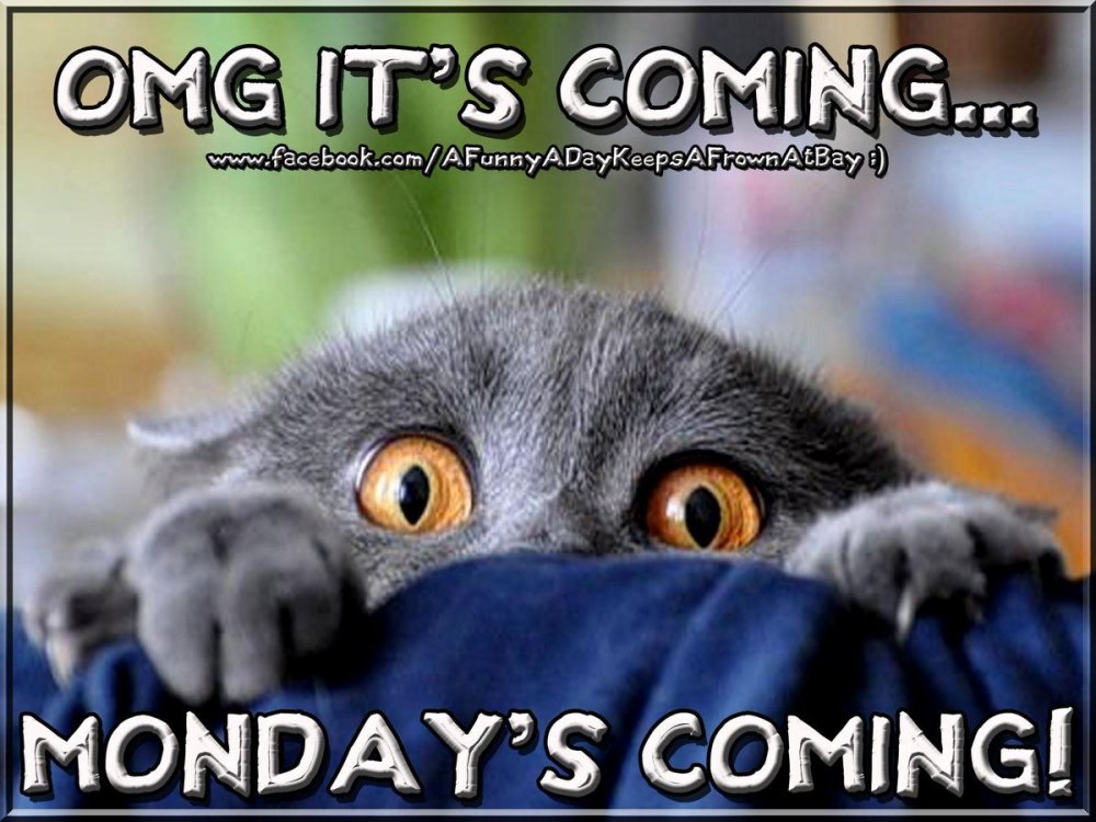 OMG Mondays Coming CFQnqKoUgAAObPq.jpg