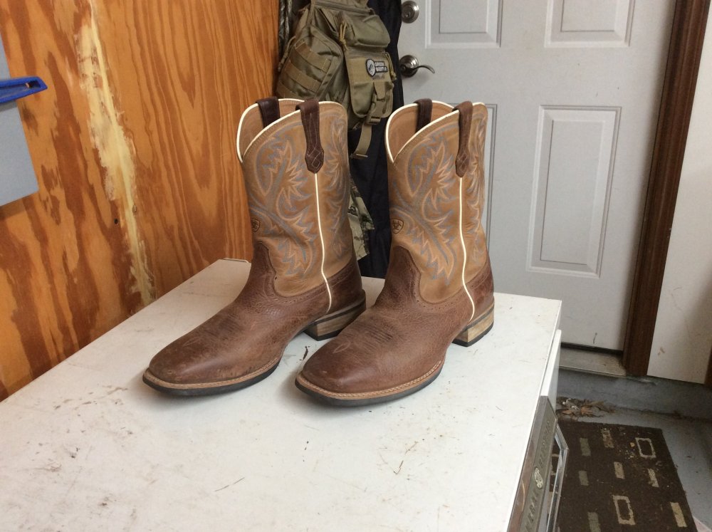 ariat-boots-wide-sass-wire-classifieds-sass-wire-forum