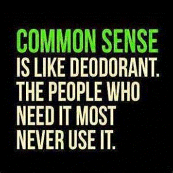 839963076_CommonSense.gif.39f2f282d6dae3deb14f9cb6a60ca325.gif