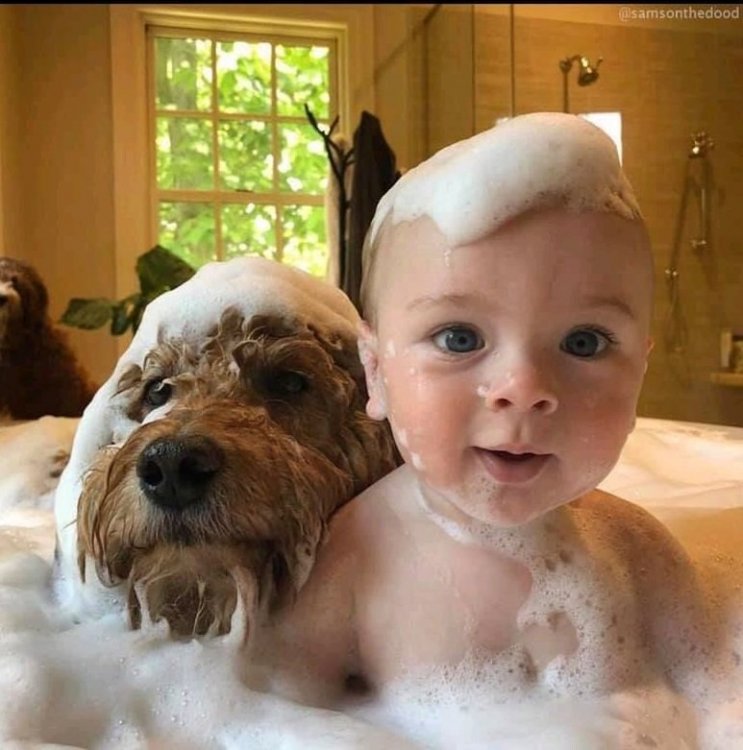 dogandbabybath2.jpg