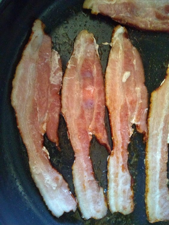 bacon fish.jpg