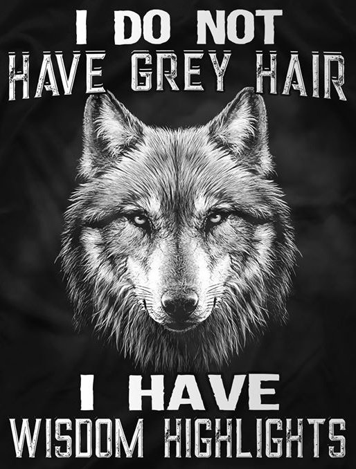 Grey Hair.jpg