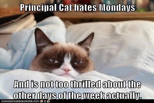 Hate Mondays not so much rest of week-about-the-other-days-of-the-week-actually.jpg