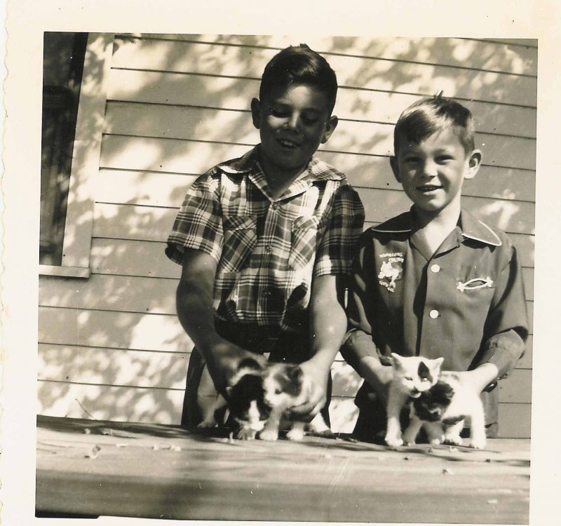Ronnie and Ricky with Kittens.jpg
