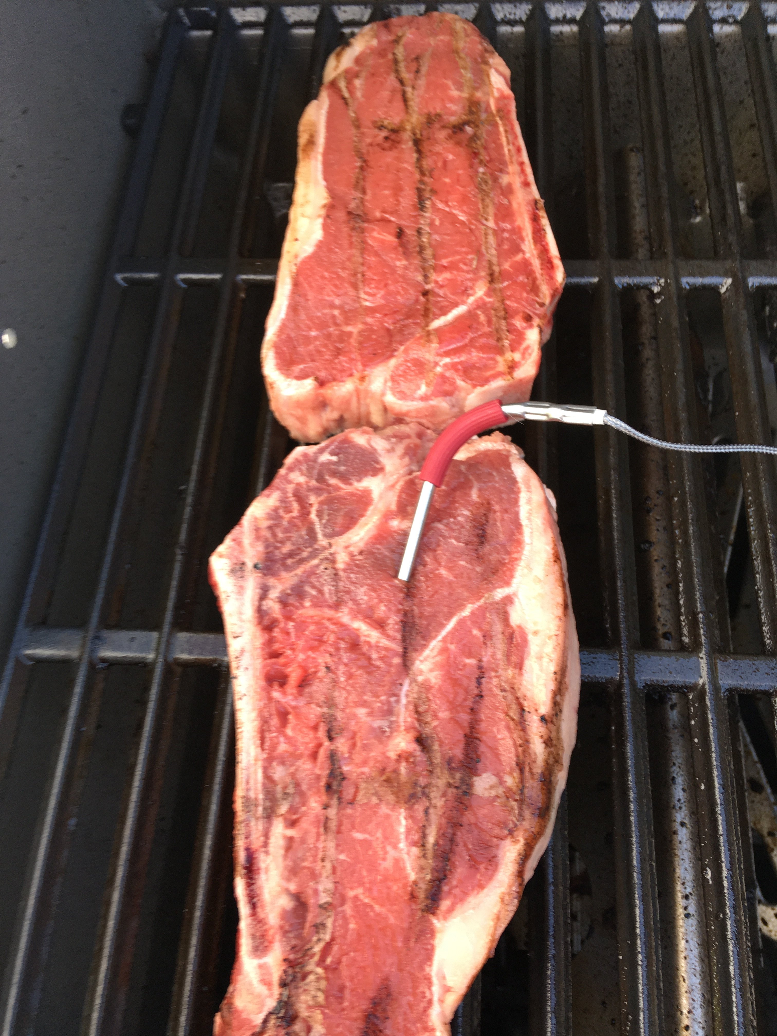 How Did We Ever Grill A Steak Without An APP Ok The Thing Is Cool   IMG 0596.JPG.293c085fbf00d8658721dc1455df0d00.JPG