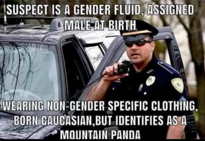 Modern cop.jpg
