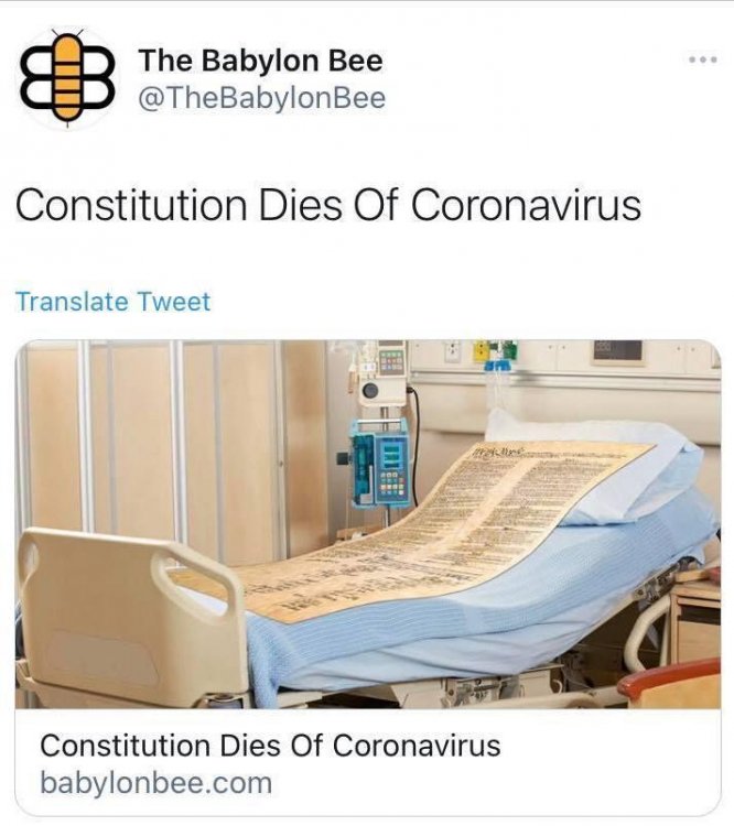 constitutiondiesofcoronavirus.jpeg