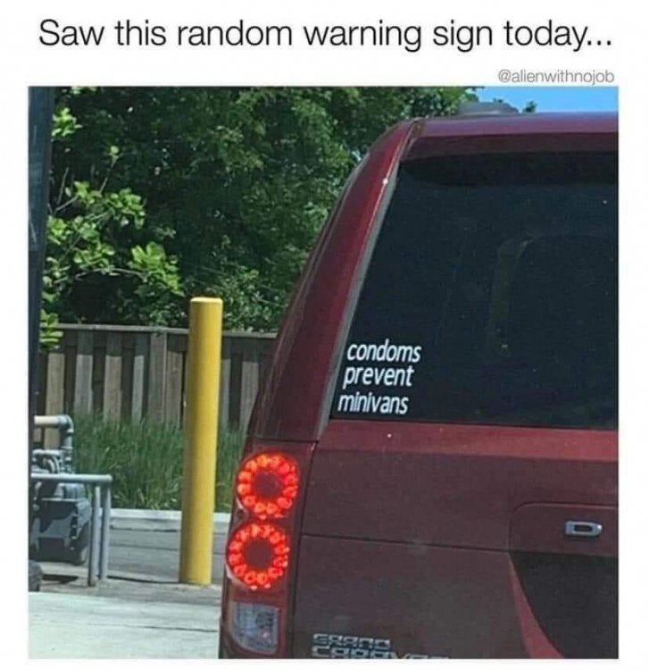 minivans.jpeg