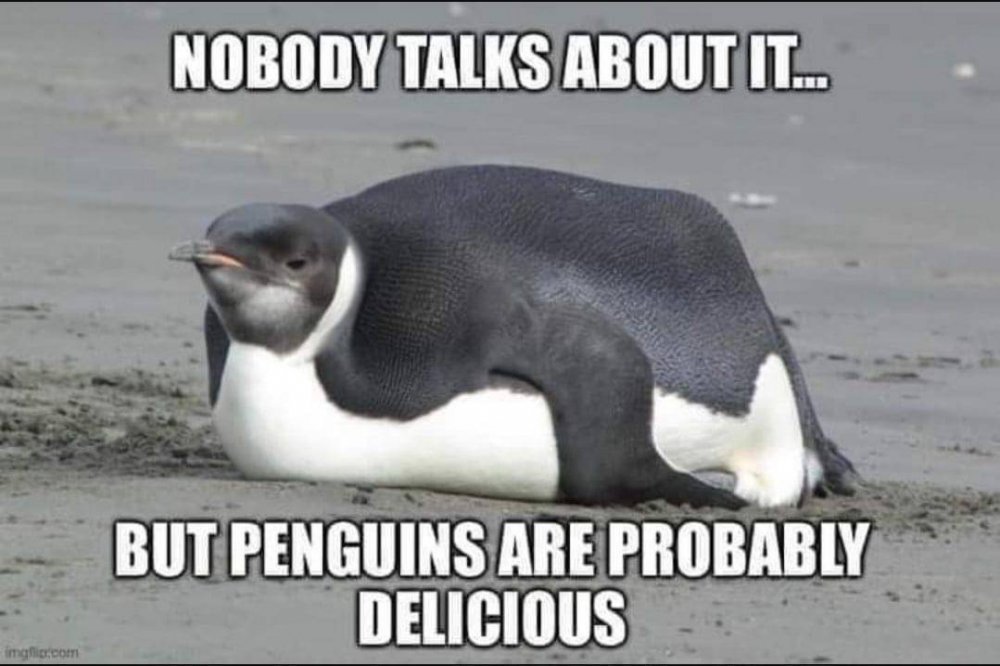 penguinsdelicious.jpg