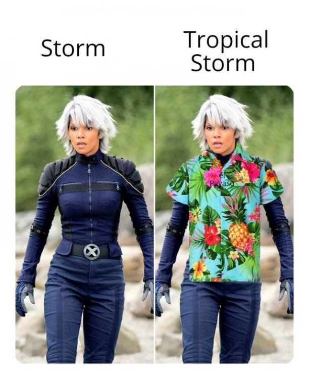 tropicalstorm.jpg