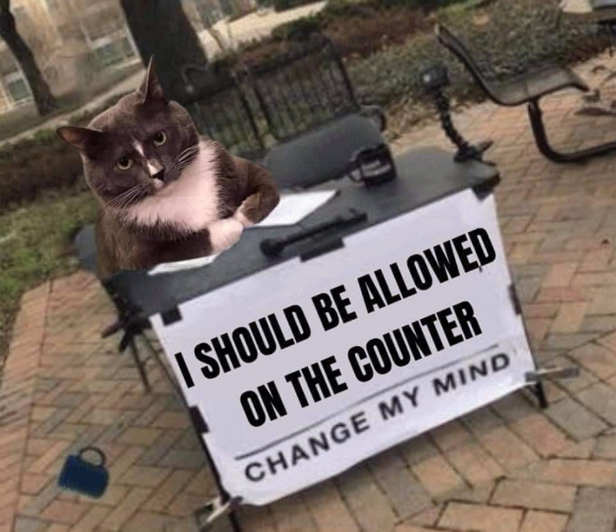 catcounter.png