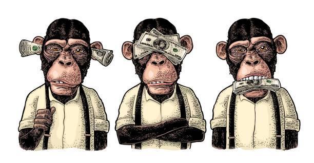 money monkeys.jpg