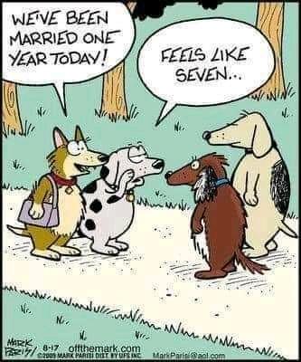 married dogs.jpg