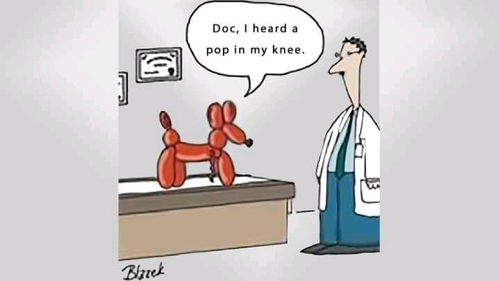 dog knee.jpg