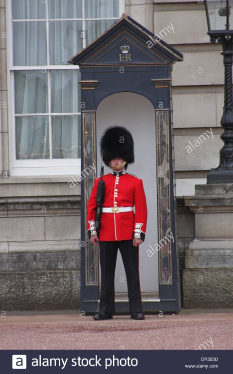 buckingham-palace-guard-london-england-DR325D.jpg