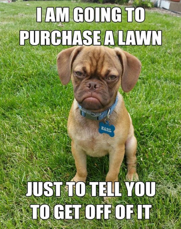 purchase-a-lawn-resized.jpg