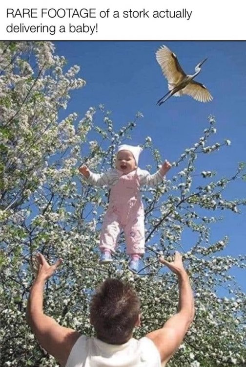 mm-stork-delivering-a-baby.jpg
