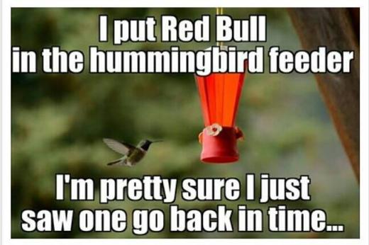 redbullhummingbird.jpg