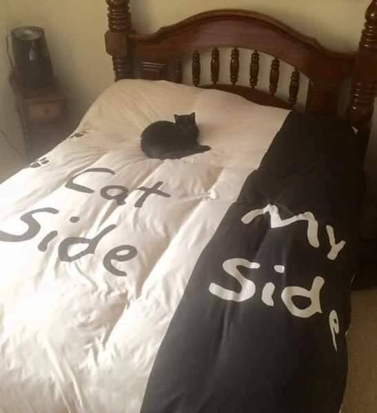 Cat Bed sides.jpg