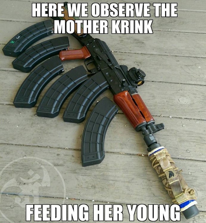 Mother Krink.jpg
