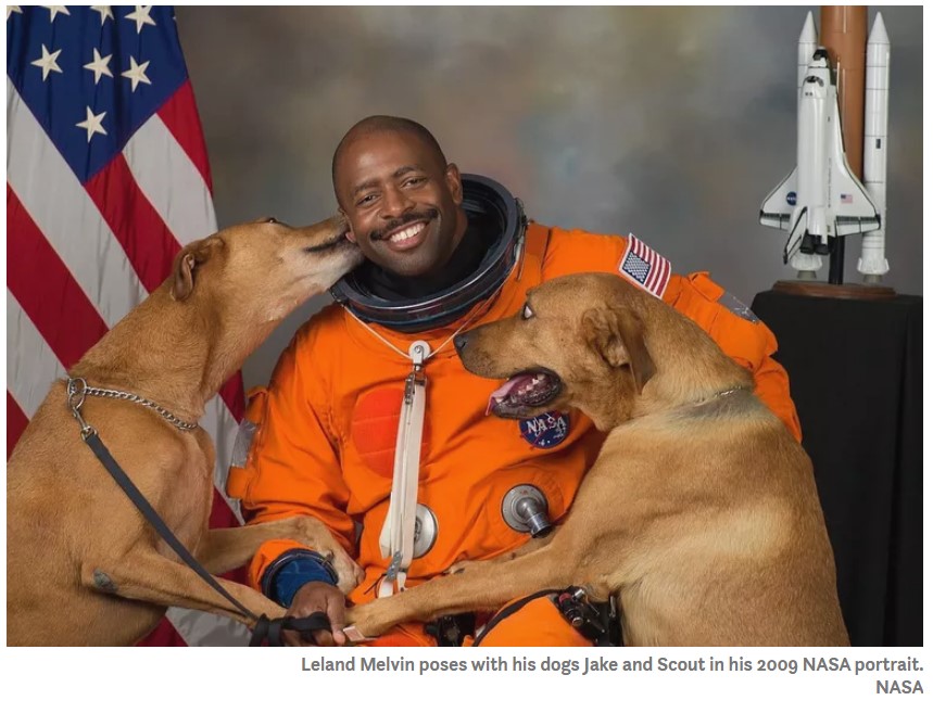 511395508_spacedogs.jpg.ed9ebe43320bec9ca1af2eb8947600e7.jpg