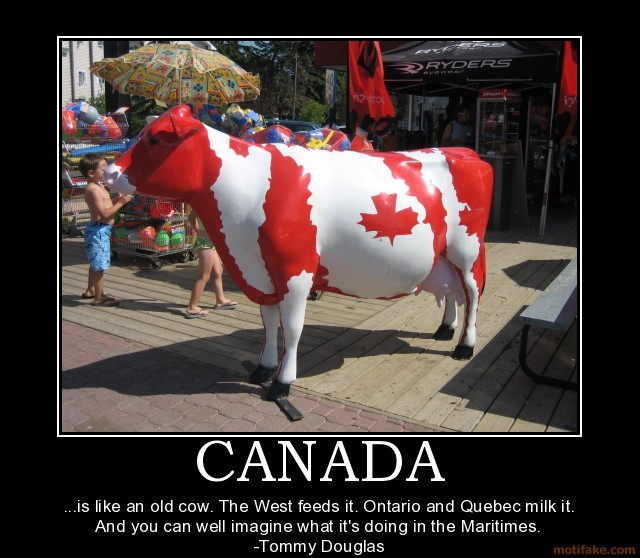 The Canadian Cow.jpg