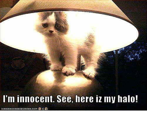 im-innocent-see-here-iz-my-halo-8168924.png.95674c147ca962b0d5a4605734caafc7.png
