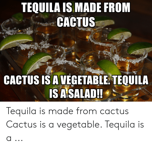 tequila-is-made-from-cactus-cactus-is-a-vegetable-tequila-49420350.png