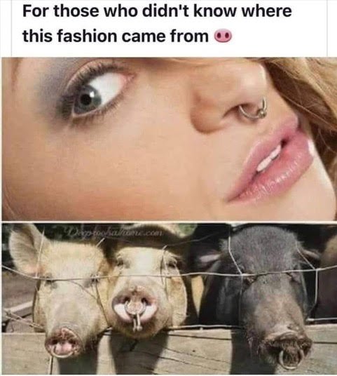 Pig nose ring origin .jpg