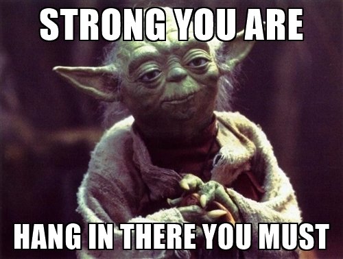 strong-you-are-hang-in-there-meme.jpg.1d228687615fa45b8882f20e725ff9a2.jpg